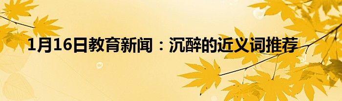 1月16日教育新闻：沉醉的近义词推荐