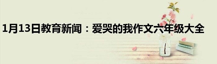 1月13日教育新闻：爱哭的我作文六年级大全