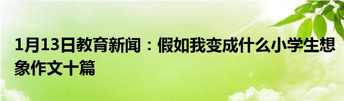 假如我变成什么小学生想象作文十篇