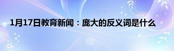 1月17日教育新闻：庞大的反义词是什么