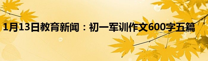 初一军训作文600字五篇