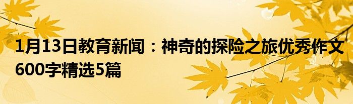 神奇的探险之旅优秀作文600字精选5篇