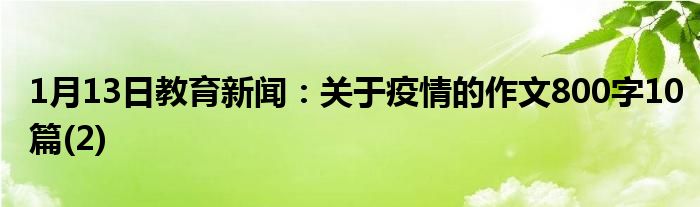 关于疫情的作文800字10篇(2)