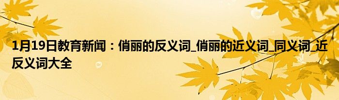 1月19日教育新闻：俏丽的反义词_俏丽的近义词_同义词_近反义词大全