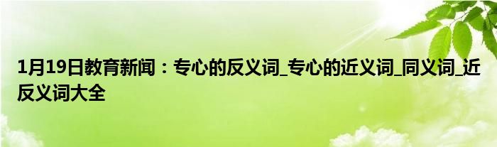 1月19日教育新闻：专心的反义词_专心的近义词_同义词_近反义词大全