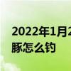 2022年1月20日最新版本:摩尔庄园手游粉海豚怎么钓