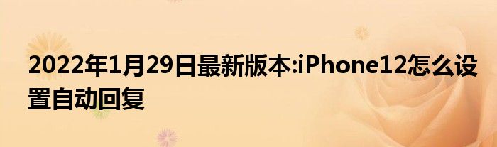 2022年1月29日最新版本:iPhone12怎么设置自动回复