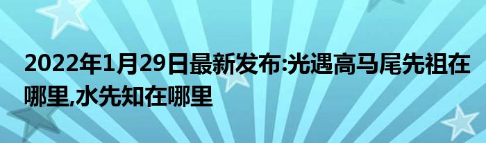 2022年1月29日最新发布:光遇高马尾先祖在哪里,水先知在哪里