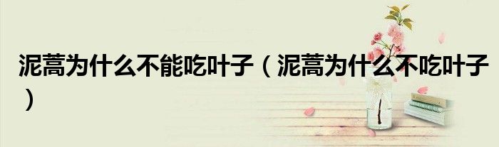 泥蒿为什么不能吃叶子（泥蒿为什么不吃叶子）