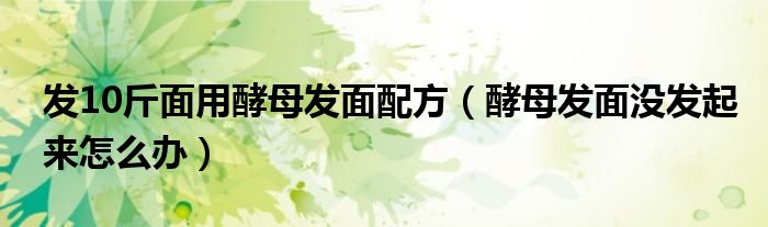 发10斤面用酵母发面配方（酵母发面没发起来怎么办）