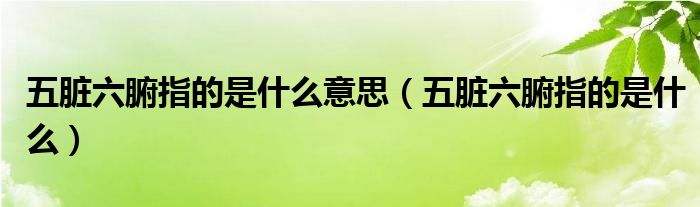 五脏六腑指的是什么意思（五脏六腑指的是什么）