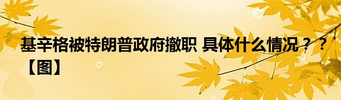 基辛格被特朗普政府撤职 具体什么情况？？【图】