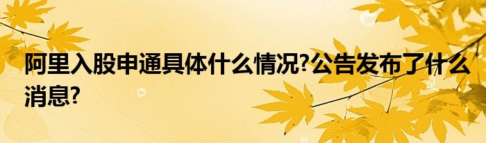 阿里入股申通具体什么情况?公告发布了什么消息?