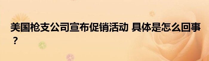 美国枪支公司宣布促销活动 具体是怎么回事？