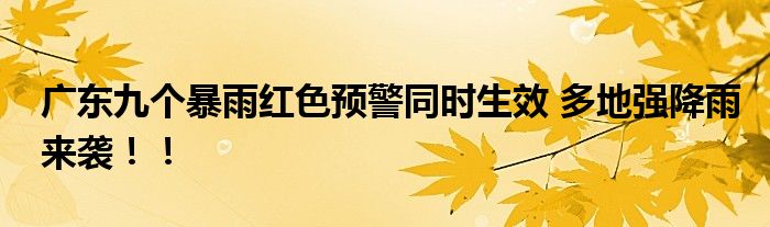 广东九个暴雨红色预警同时生效 多地强降雨来袭！！