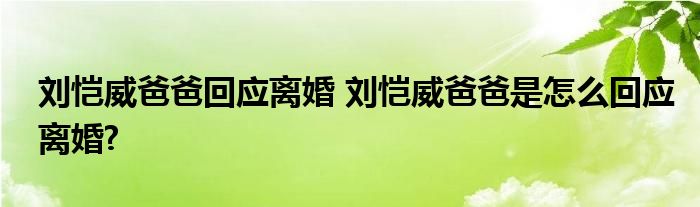 刘恺威爸爸回应离婚 刘恺威爸爸是怎么回应离婚?