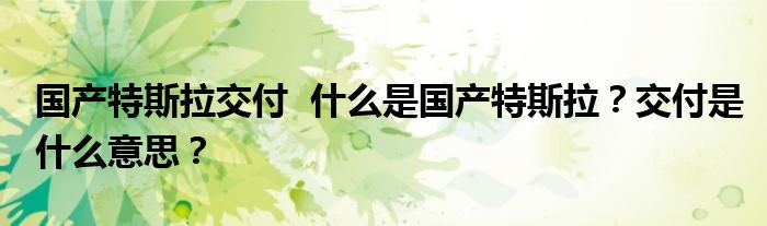 国产特斯拉交付  什么是国产特斯拉？交付是什么意思？