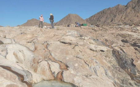 科学家研究地球上的微生物以深入了解其他行星上的生命