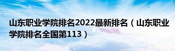 山东职业学院排名2022最新排名（山东职业学院排名全国第113）