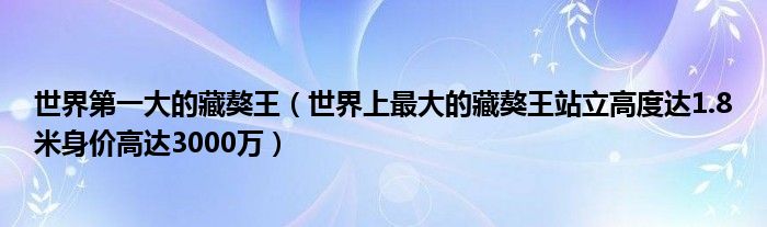 世界第一大的藏獒王（世界上最大的藏獒王站立高度达1.8米身价高达3000万）
