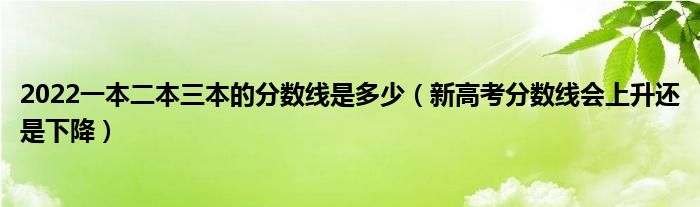 2022一本二本三本的分数线是多少（新高考分数线会上升还是下降）