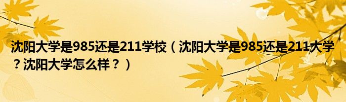 沈阳大学是985还是211学校（沈阳大学是985还是211大学？沈阳大学怎么样？）
