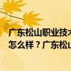 广东松山职业技术学院属于大学吗（广东松山职业技术学院怎么样？广东松山职业技术学院是野鸡大学吗？）