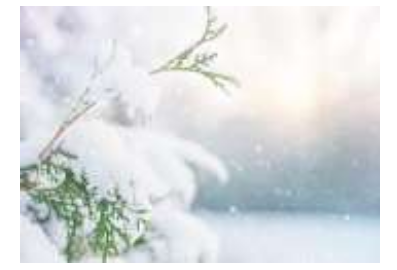 科罗拉多州的积雪正在以荒谬的速度融化