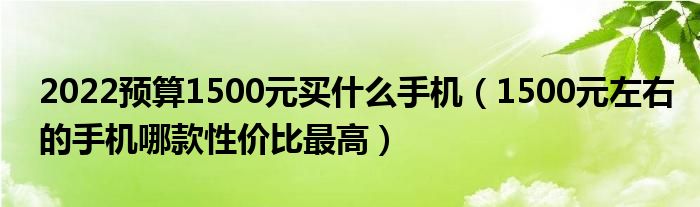 2022预算1500元买什么手机（1500元左右的手机哪款性价比最高）