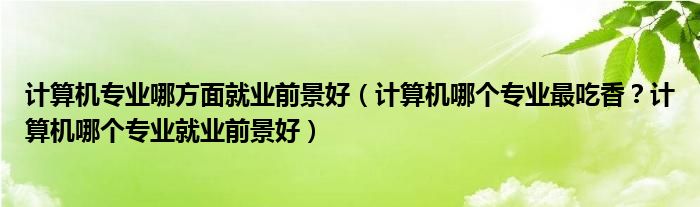 计算机专业哪方面就业前景好（计算机哪个专业最吃香？计算机哪个专业就业前景好）