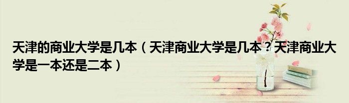 天津的商业大学是几本（天津商业大学是几本？天津商业大学是一本还是二本）
