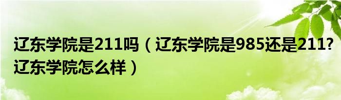辽东学院是211吗（辽东学院是985还是211?辽东学院怎么样）