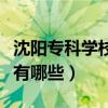 沈阳专科学校有哪些大学（沈阳好的专科学校有哪些）