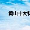 黄山十大特产（黄山特产可以带走的）