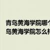 青岛黄海学院哪个校区好（青岛黄海学院是985还是211?青岛黄海学院怎么样）