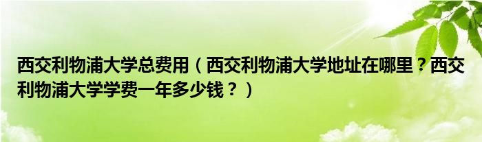 西交利物浦大学总费用（西交利物浦大学地址在哪里？西交利物浦大学学费一年多少钱？）