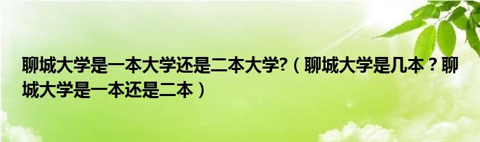 聊城大学是一本大学还是二本大学?（聊城大学是几本？聊城大学是一本还是二本）