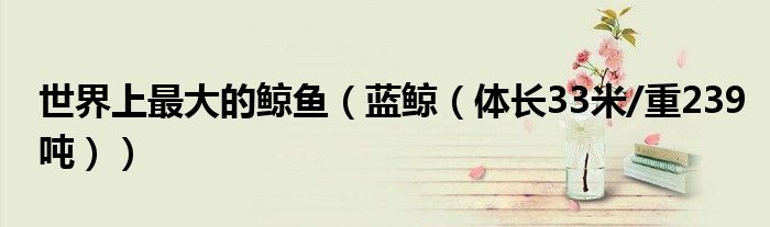世界上最大的鲸鱼（蓝鲸（体长33米/重239吨））