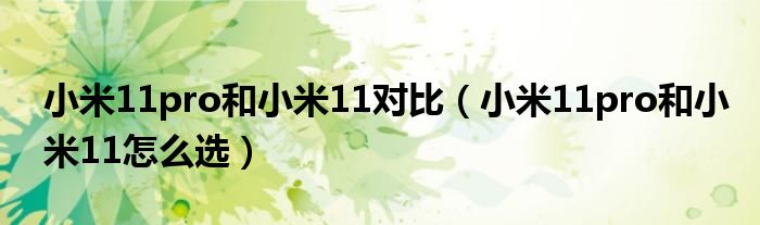 小米11pro和小米11对比（小米11pro和小米11怎么选）