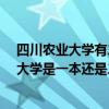 四川农业大学有二本吗?（四川农业大学是几本？四川农业大学是一本还是二本）