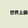 世界上最短的裙子（裙长只有五寸）