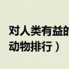对人类有益的动物有哪些（十大对人类有益的动物排行）