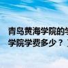 青岛黄海学院的学费多少（青岛黄海学院怎么样？青岛黄海学院学费多少？）