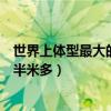 世界上体型最大的狼品种（世界上最小的狼阿拉伯狼肩高仅半米多）