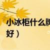小冰柜什么牌子最好（什么牌子的冰柜质量最好）
