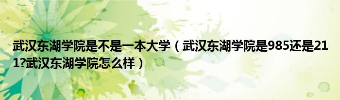 武汉东湖学院是不是一本大学（武汉东湖学院是985还是211?武汉东湖学院怎么样）