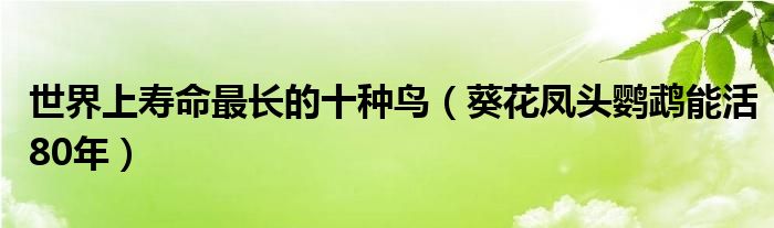 世界上寿命最长的十种鸟（葵花凤头鹦鹉能活80年）