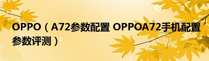 OPPO（A72参数配置 OPPOA72手机配置参数评测）