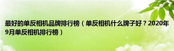 最好的单反相机品牌排行榜（单反相机什么牌子好？2020年9月单反相机排行榜）