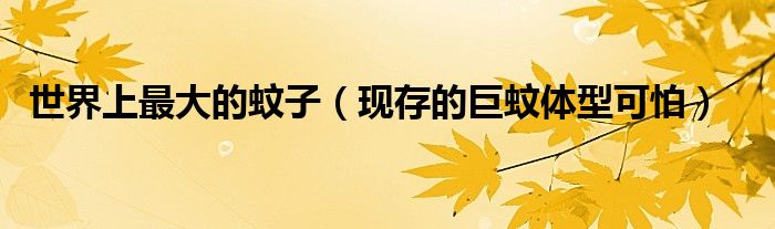 世界上最大的蚊子（现存的巨蚊体型可怕）